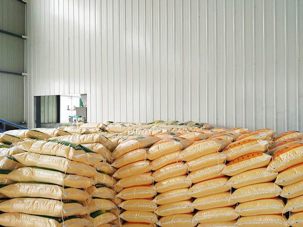 玉（yù）米（mǐ）糝